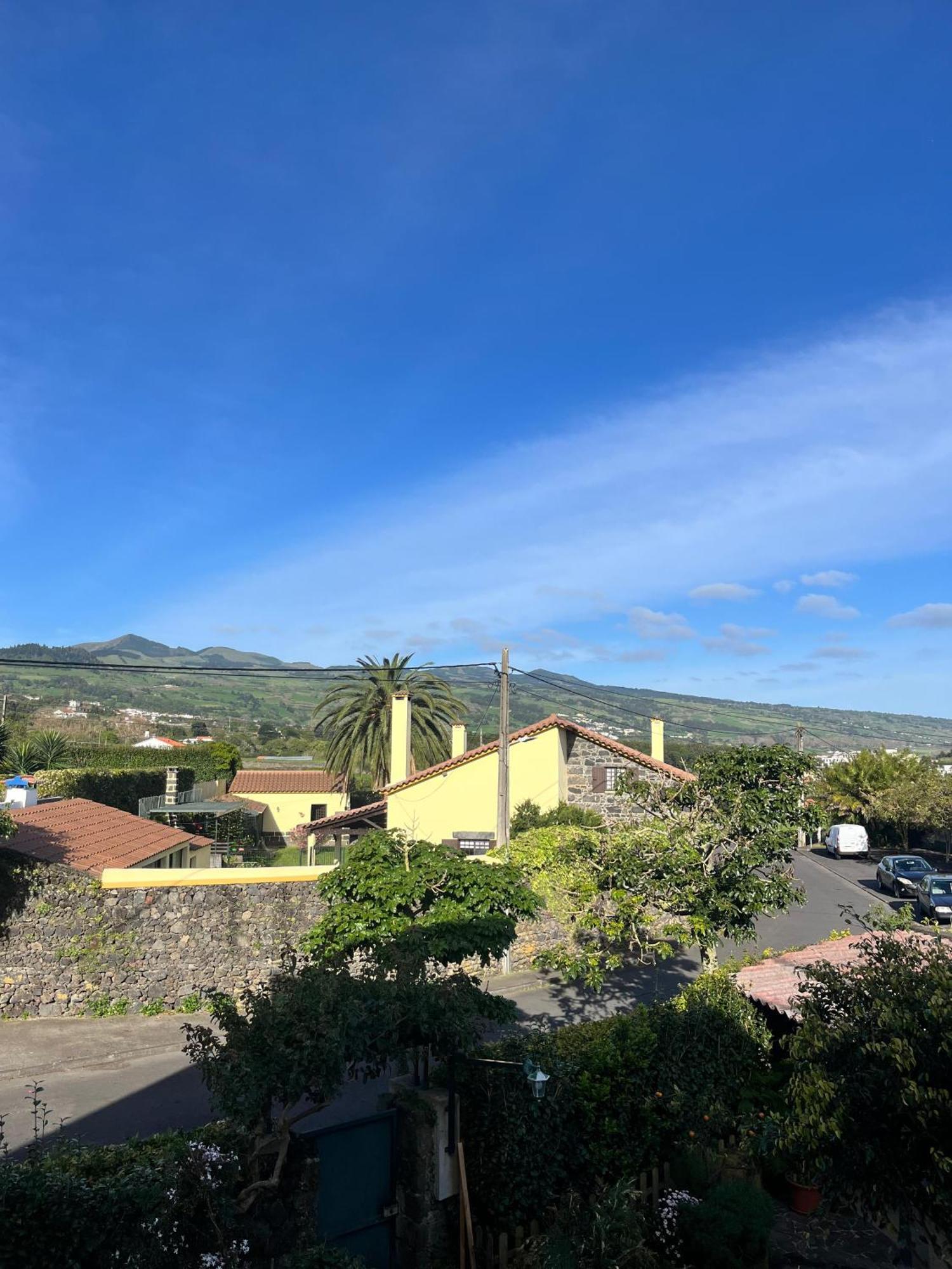Casa Das Palmeiras Sao Vicente Ferreira Luaran gambar